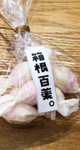 箱根・芦ノ湖　鳥居ヨコカフェ「箱根百薬」テイクアウト